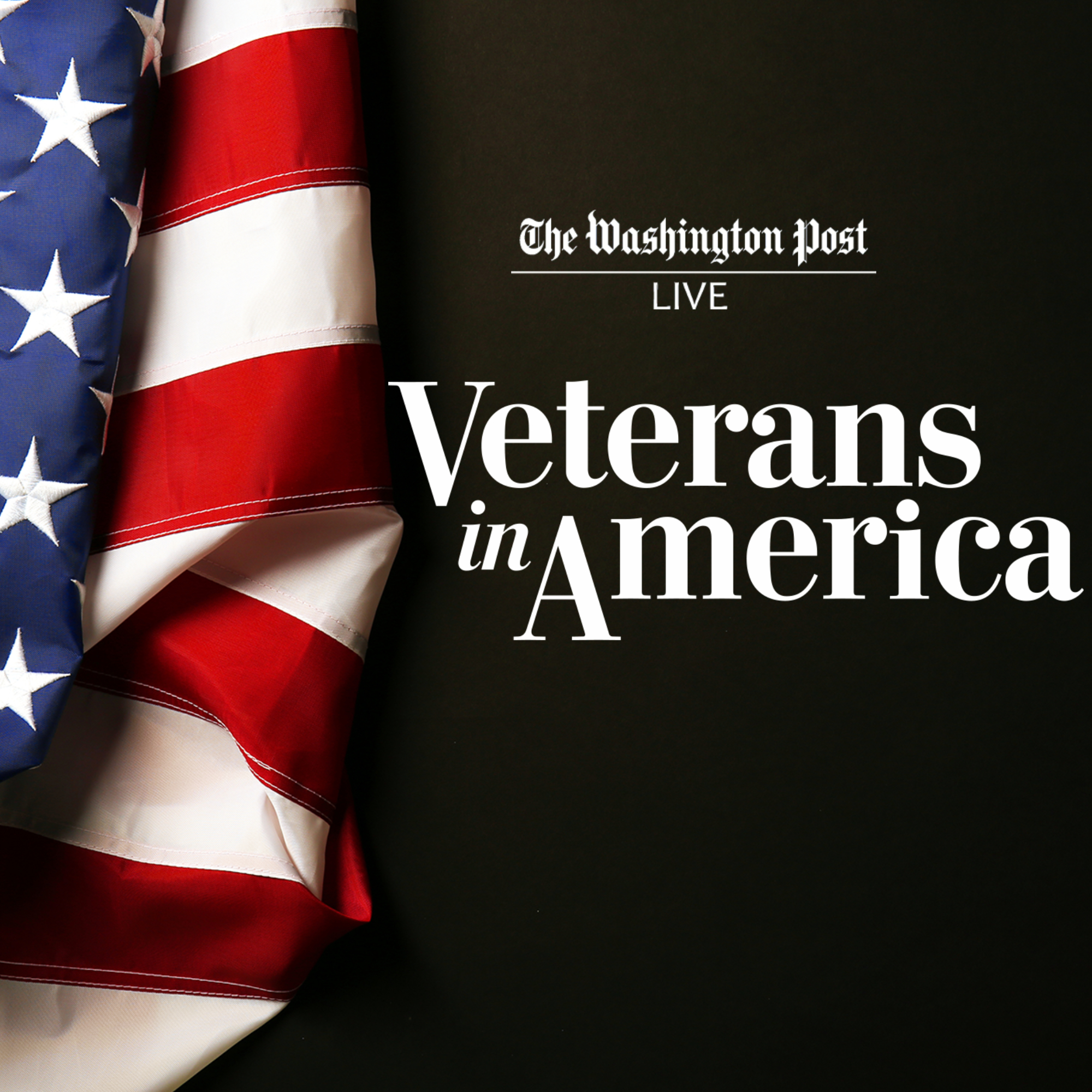 Veterans in America: Leading the Charge for Veterans