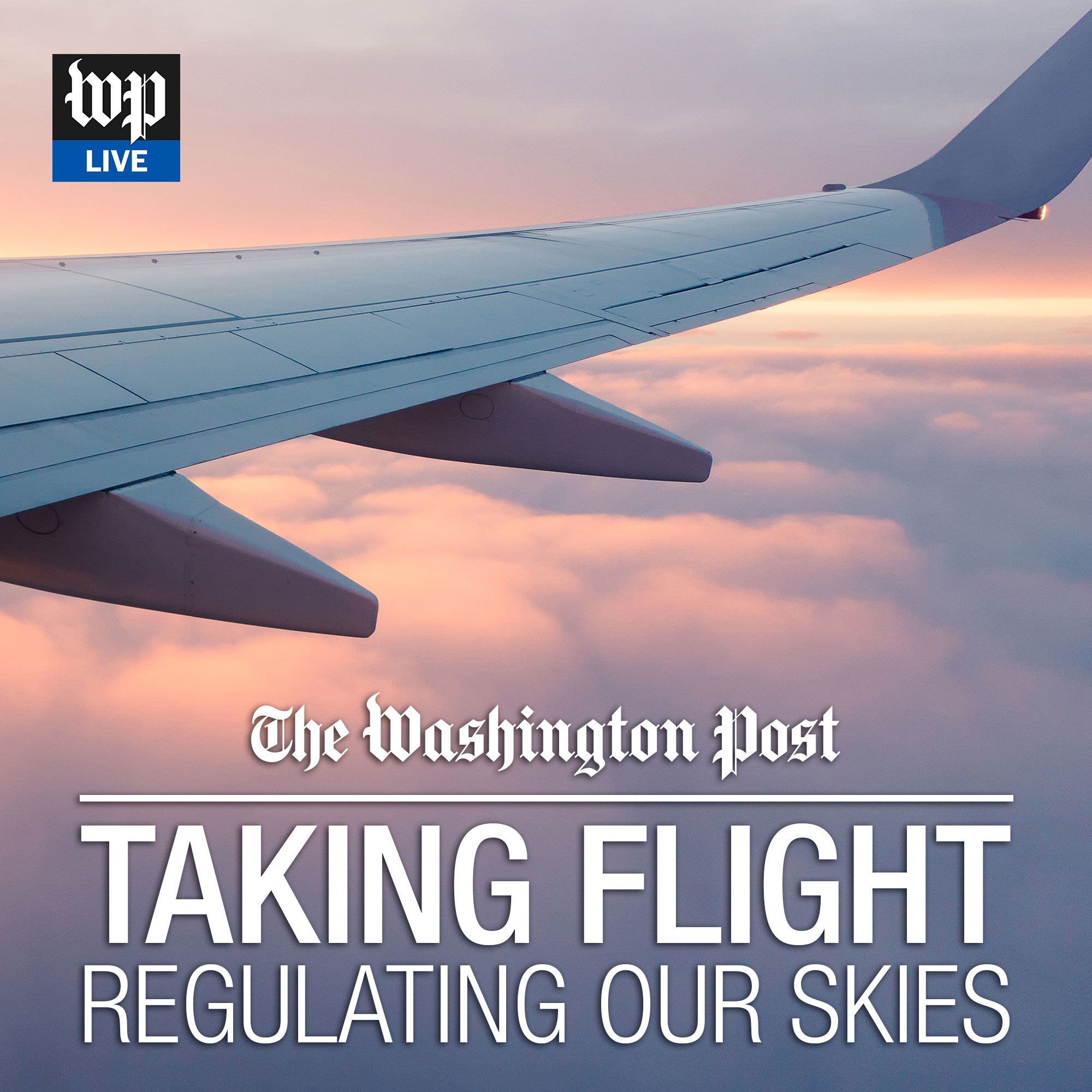 cover of episode Taking Flight: The regulatory landscape