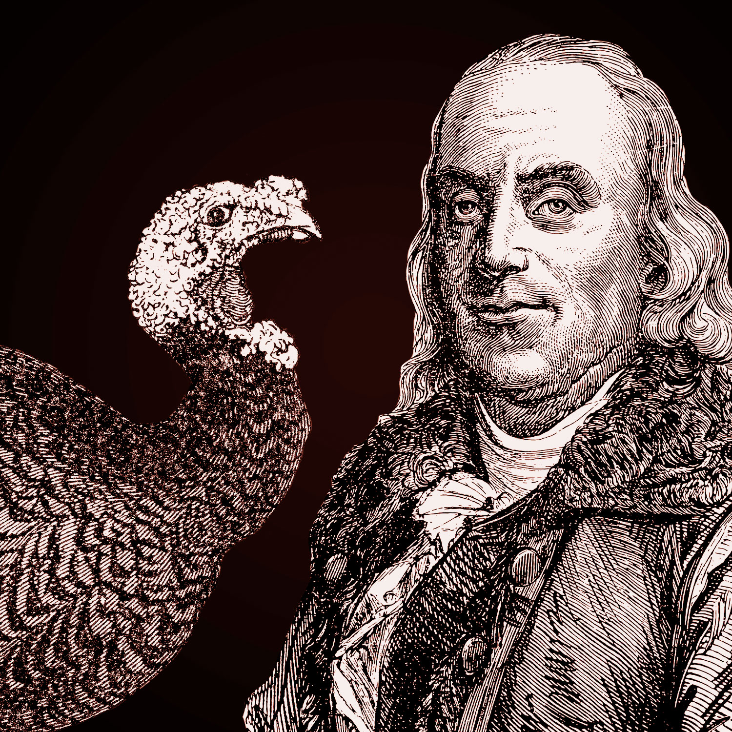 Benjamin Franklin’s complicated relationship with turkeys
