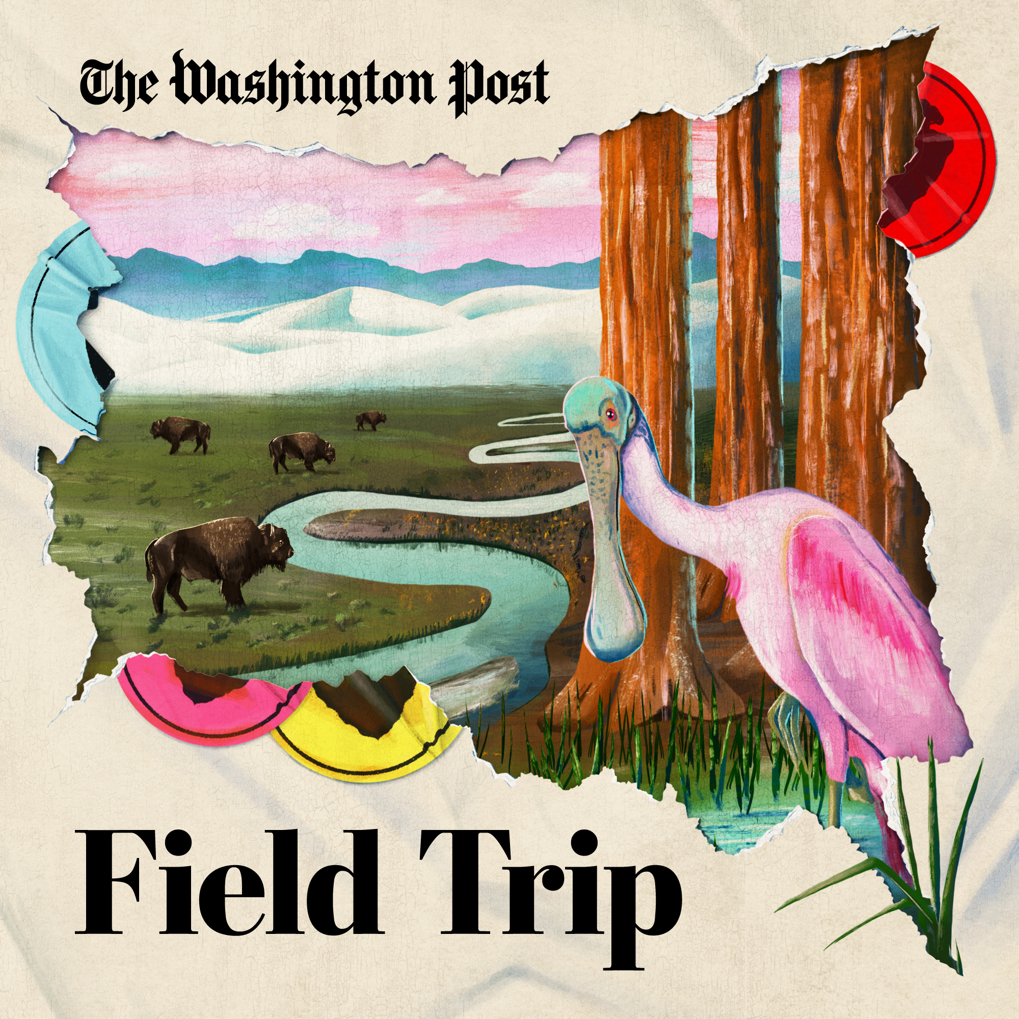 Field Trip podcast show image