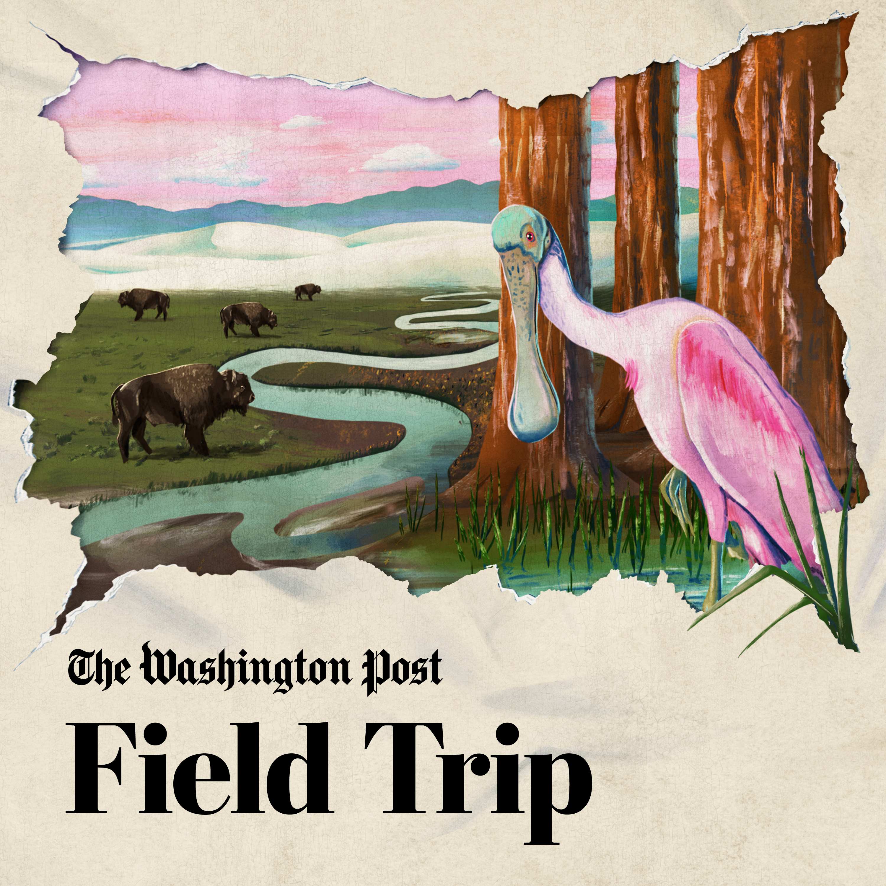 Introducing “Field Trip”