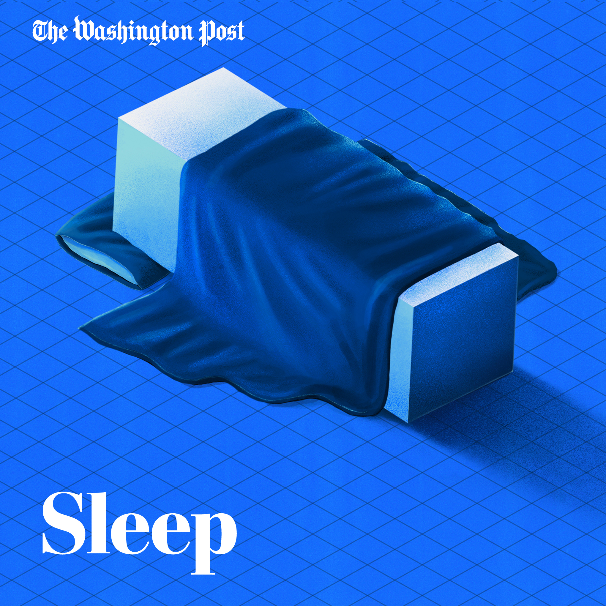 Learning to sleep like a bear could save your life - The Washington Post