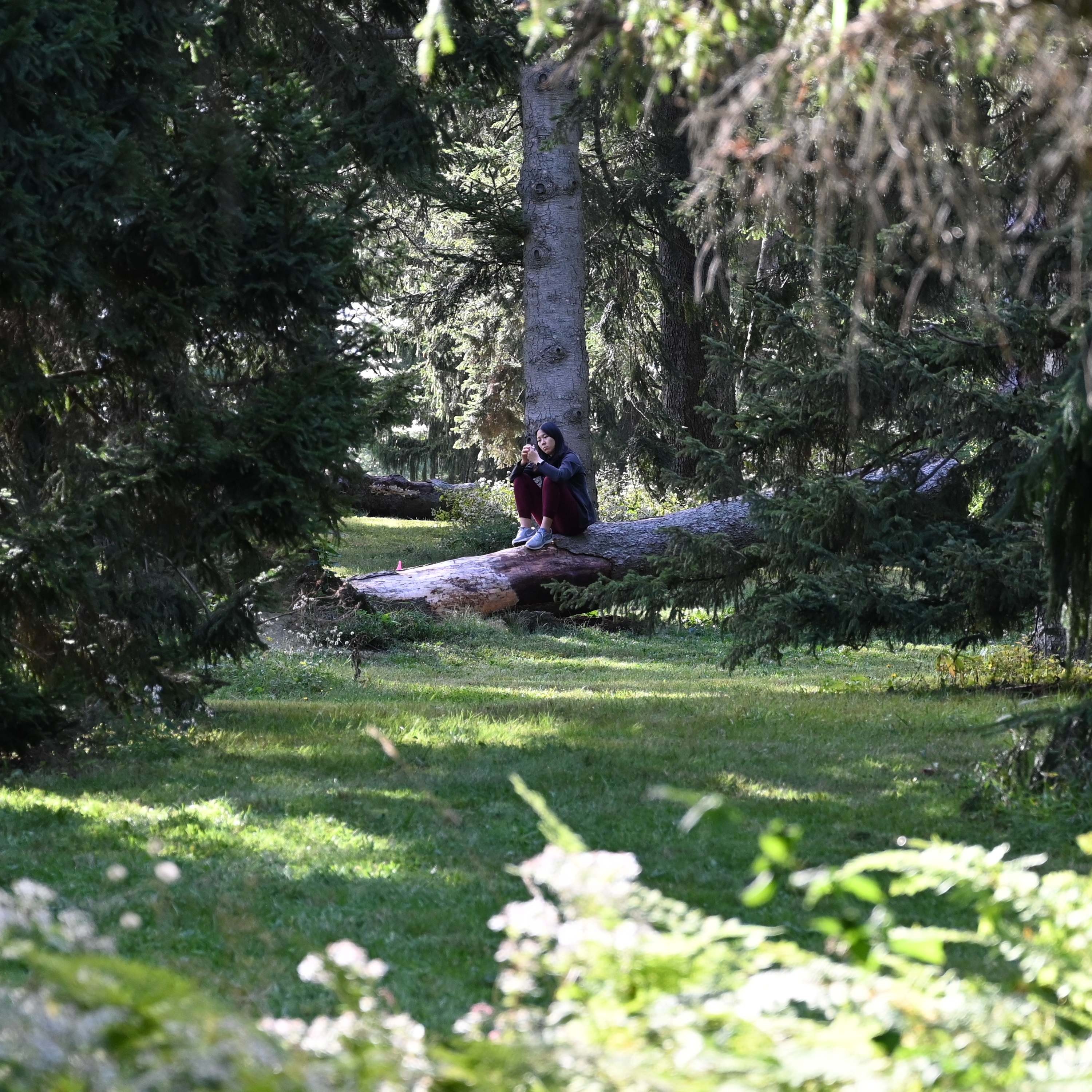 How a former politics columnist is finding awe