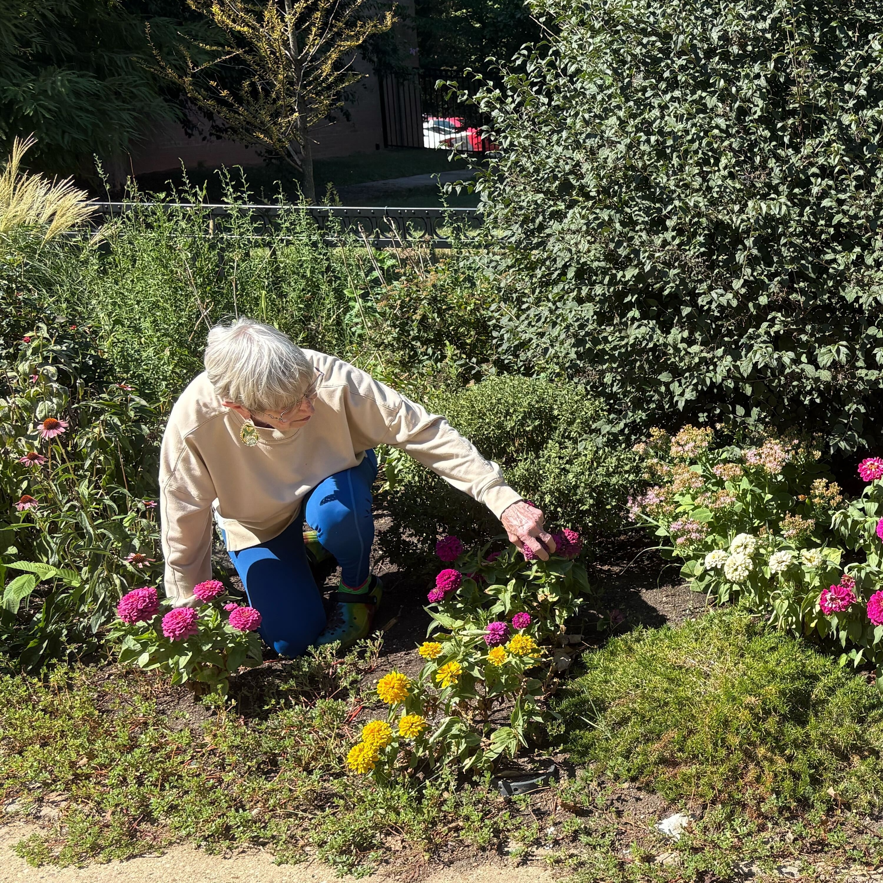 How to be a ‘super ager’ How to be a ‘super ager’