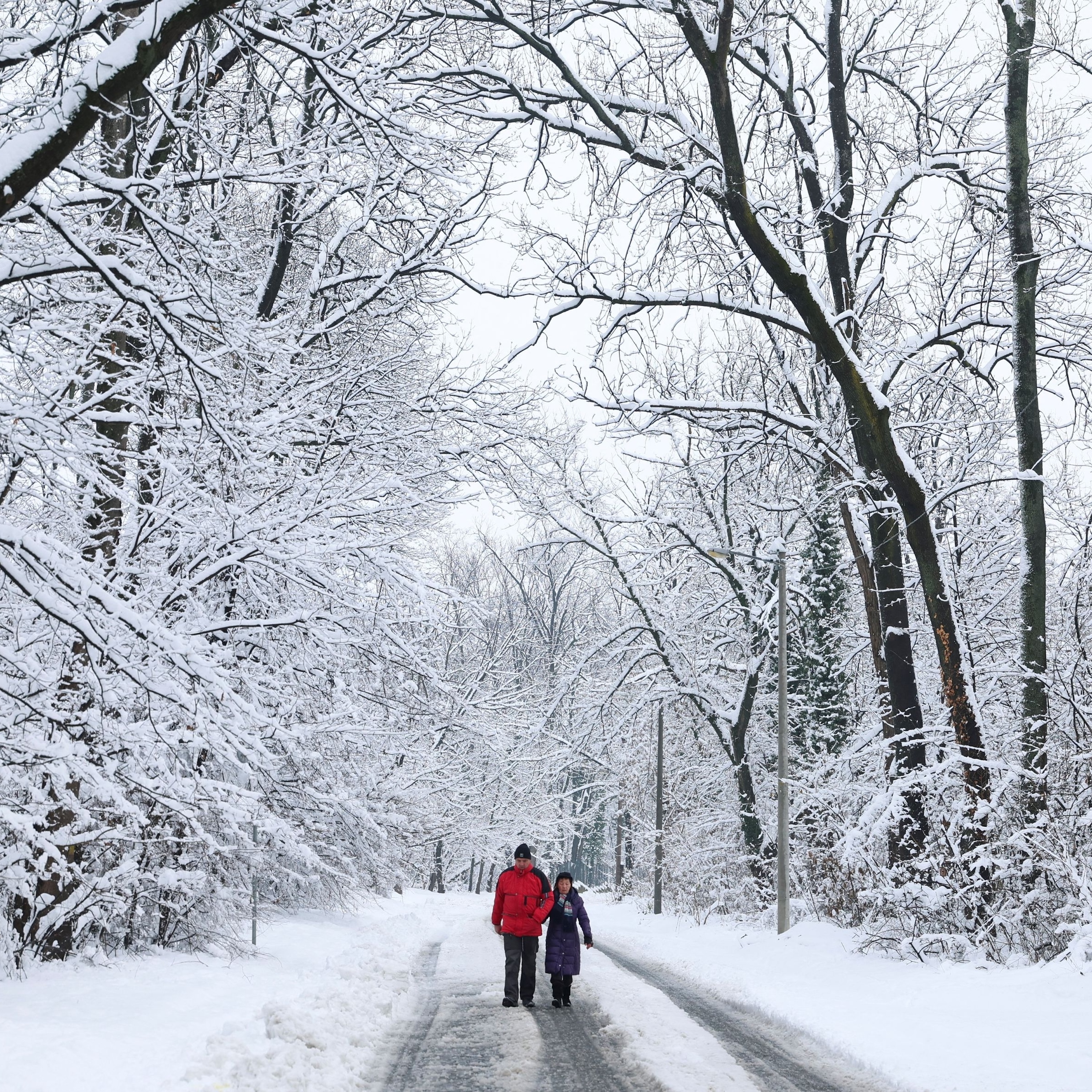 Why going outside is good for you, even when it's freezing